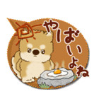 柴犬さん 2025「とにかく暑い！」（個別スタンプ：7）