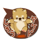 柴犬さん 2025「とにかく暑い！」（個別スタンプ：8）