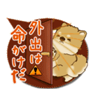 柴犬さん 2025「とにかく暑い！」（個別スタンプ：9）