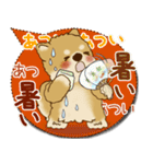 柴犬さん 2025「とにかく暑い！」（個別スタンプ：10）