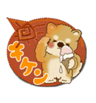 柴犬さん 2025「とにかく暑い！」（個別スタンプ：12）