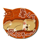柴犬さん 2025「とにかく暑い！」（個別スタンプ：14）