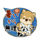 柴犬さん 2025「とにかく暑い！」（個別スタンプ：17）