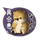 柴犬さん 2025「とにかく暑い！」（個別スタンプ：19）