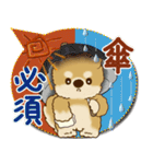 柴犬さん 2025「とにかく暑い！」（個別スタンプ：23）