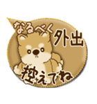 柴犬さん 2025「とにかく暑い！」（個別スタンプ：25）