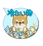 柴犬さん 2025「とにかく暑い！」（個別スタンプ：26）