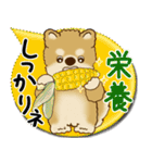 柴犬さん 2025「とにかく暑い！」（個別スタンプ：27）