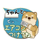 柴犬さん 2025「とにかく暑い！」（個別スタンプ：29）