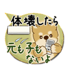 柴犬さん 2025「とにかく暑い！」（個別スタンプ：30）