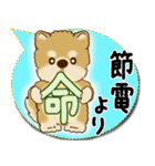 柴犬さん 2025「とにかく暑い！」（個別スタンプ：31）