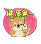 柴犬さん 2025「とにかく暑い！」（個別スタンプ：33）