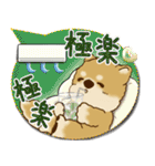 柴犬さん 2025「とにかく暑い！」（個別スタンプ：34）