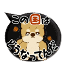 柴犬さん 2025「とにかく暑い！」（個別スタンプ：36）