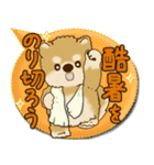 柴犬さん 2025「とにかく暑い！」（個別スタンプ：37）