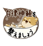 柴犬さん 2025「とにかく暑い！」（個別スタンプ：38）
