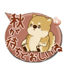 柴犬さん 2025「とにかく暑い！」（個別スタンプ：39）