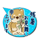 柴犬さん 2025「とにかく暑い！」（個別スタンプ：40）