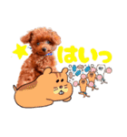 ぽやぽやテト（個別スタンプ：5）