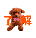 ぽやぽやテト（個別スタンプ：9）