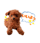 ぽやぽやテト（個別スタンプ：11）