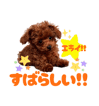 ぽやぽやテト（個別スタンプ：12）