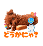 ぽやぽやテト（個別スタンプ：17）