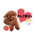 ぽやぽやテト（個別スタンプ：18）