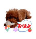 ぽやぽやテト（個別スタンプ：22）