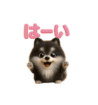 いろんなワンちゃん日常スタンプ！（個別スタンプ：8）