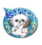 B＆W シーズー犬 2025 「親」（個別スタンプ：1）