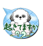 B＆W シーズー犬 2025 「親」（個別スタンプ：2）