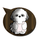 B＆W シーズー犬 2025 「親」（個別スタンプ：4）
