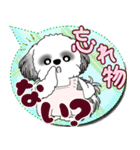 B＆W シーズー犬 2025 「親」（個別スタンプ：6）