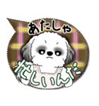 B＆W シーズー犬 2025 「親」（個別スタンプ：7）