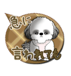 B＆W シーズー犬 2025 「親」（個別スタンプ：14）