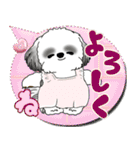 B＆W シーズー犬 2025 「親」（個別スタンプ：16）
