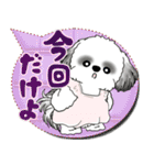 B＆W シーズー犬 2025 「親」（個別スタンプ：17）