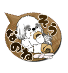 B＆W シーズー犬 2025 「親」（個別スタンプ：18）