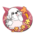 B＆W シーズー犬 2025 「親」（個別スタンプ：19）