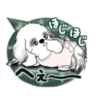 B＆W シーズー犬 2025 「親」（個別スタンプ：21）