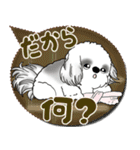 B＆W シーズー犬 2025 「親」（個別スタンプ：22）