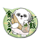 B＆W シーズー犬 2025 「親」（個別スタンプ：23）
