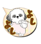 B＆W シーズー犬 2025 「親」（個別スタンプ：25）