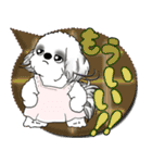 B＆W シーズー犬 2025 「親」（個別スタンプ：26）
