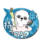 B＆W シーズー犬 2025 「親」（個別スタンプ：29）