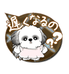 B＆W シーズー犬 2025 「親」（個別スタンプ：30）