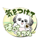 B＆W シーズー犬 2025 「親」（個別スタンプ：34）