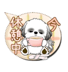 B＆W シーズー犬 2025 「親」（個別スタンプ：37）