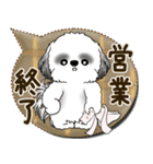 B＆W シーズー犬 2025 「親」（個別スタンプ：38）